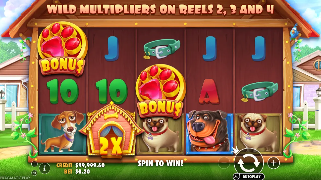 1Win Dog House Classic Slot Innovation