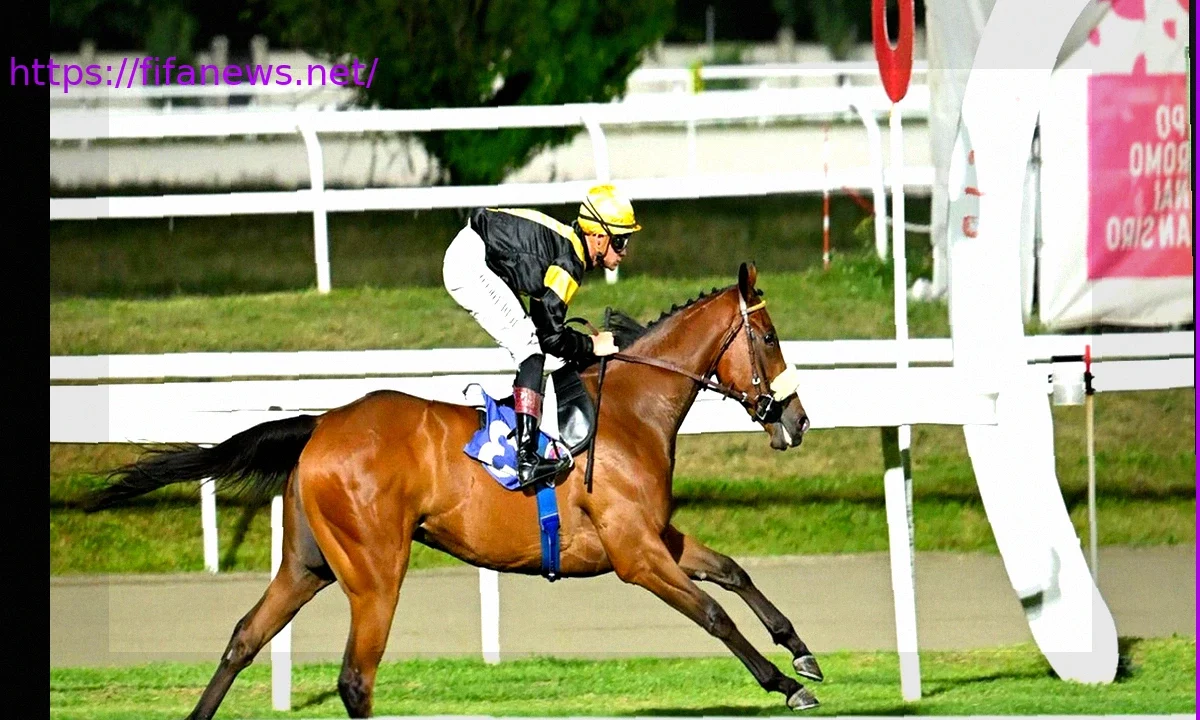 Dario Di Tocco’s Four Wins at San Siro